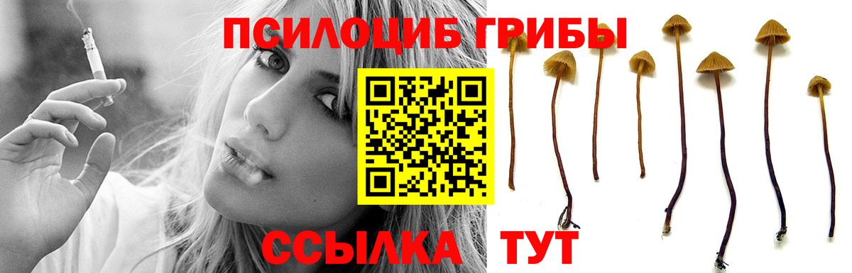 что такое наркотик  Галлюциногенные грибы Magic Shrooms  Псилоцибиновые грибы Psilocybine cubensis  Вход с VPN  Архангельск 